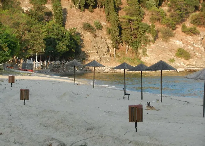 Aspri Ammos House דירה *